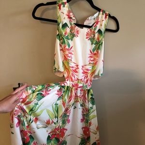 Lovers + Friends Dress (worn once)
